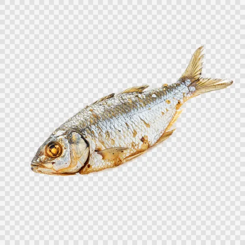 ปลาจานดาชุบแป้งทอด PNG - โปร่งใสและดาวน์โหลดฟรี