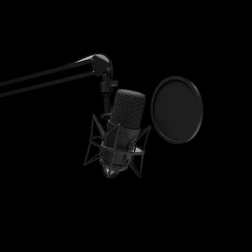 Professional black condenser microphone with pop filter JPG Image