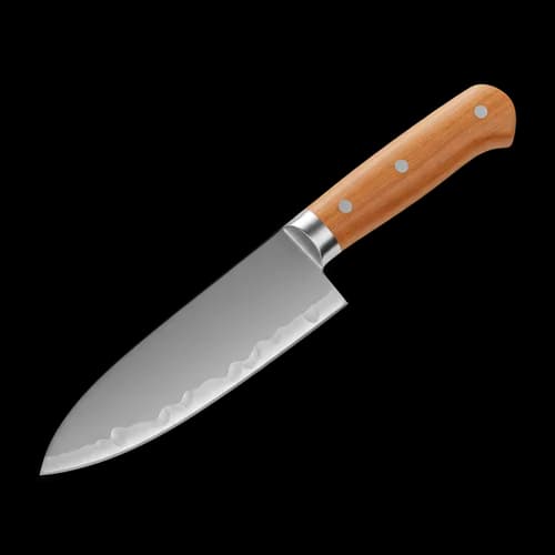 Professional kitchen chef knife with wooden handle