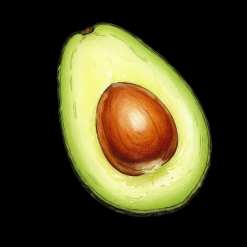 Mezzo avocado fresco con seme illustrazione – download gratuito