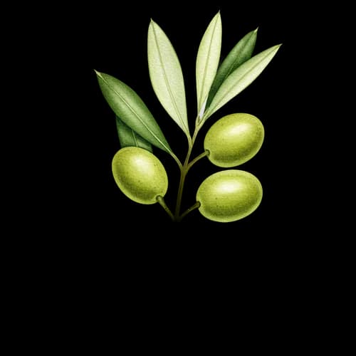 Fresh green olive branch with leaves illustration