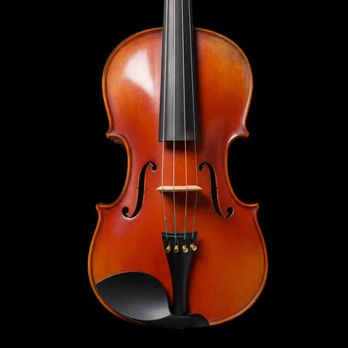 Classic wooden violin musical instrument