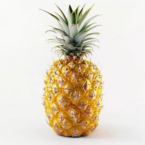 Goldene Ananas Ganze Tropische Frucht mit Krone