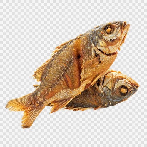Pesce Loitta (Bombay Duck) Fritto Croccante Trasparente PNG