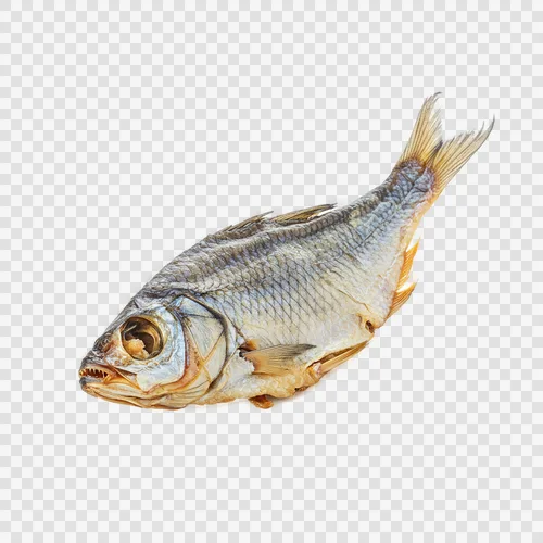 ปลาแห้งโวร์ต้าบด (Shutki Fish Vorta) PNG โปร่งใส