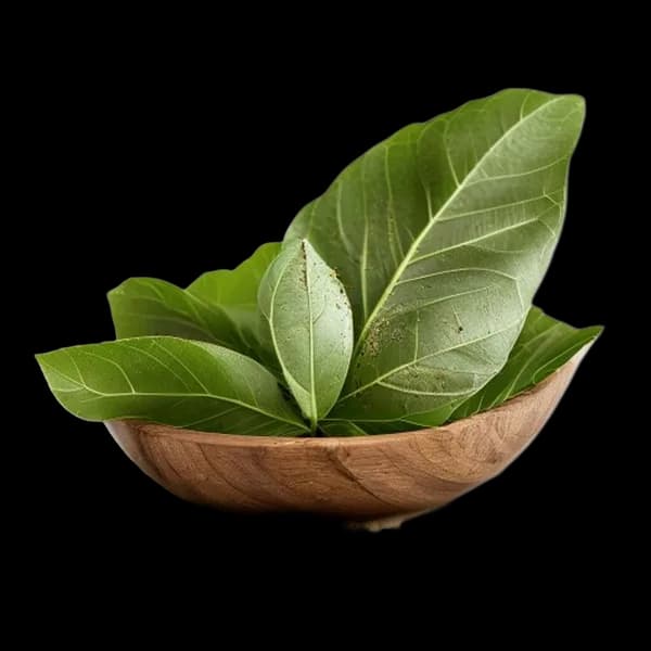 116. Ultra Realistic Bay Leaf Whole Form And Ground Powder Displayed Together In