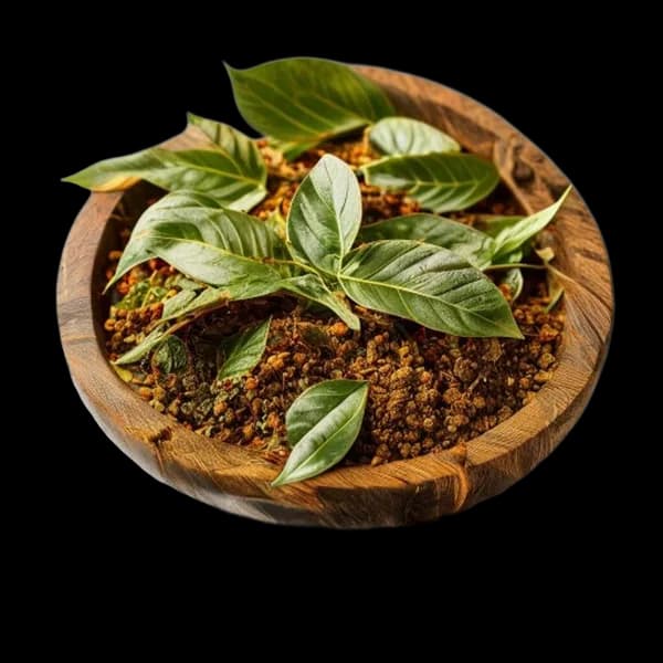 145. Ultra Realistic Curry Leaves Whole Form And Ground Powder Displayed Togethe
