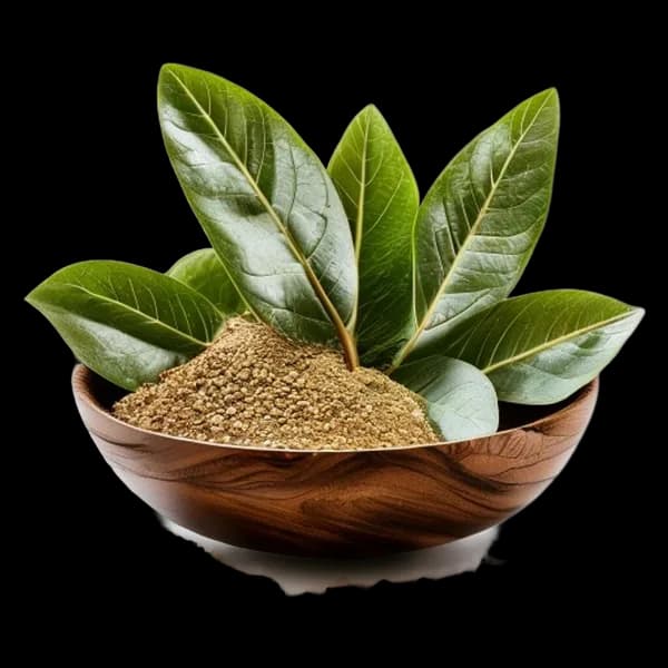16. Ultra Realistic Bay Leaf Whole Form And Ground Powder Displayed Together In