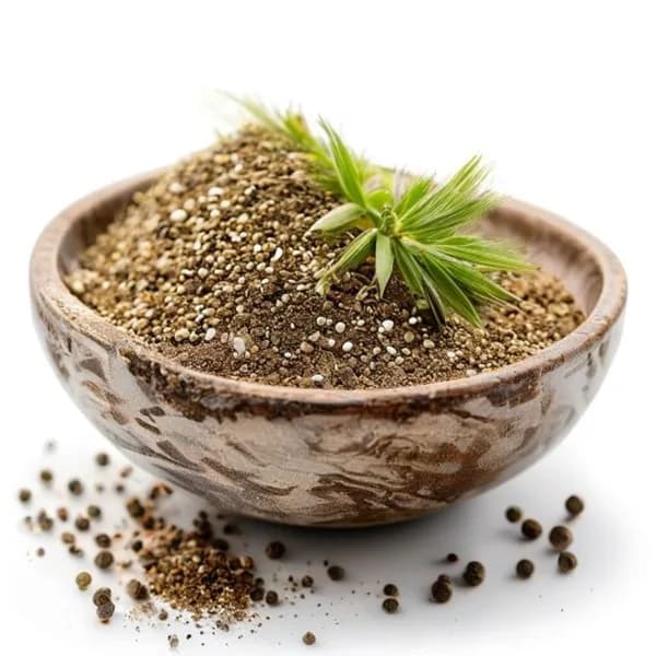 24-ultra-realistic-dill-seed-whole-form-and-ground-powder-displayed-together-in--hd-jpg