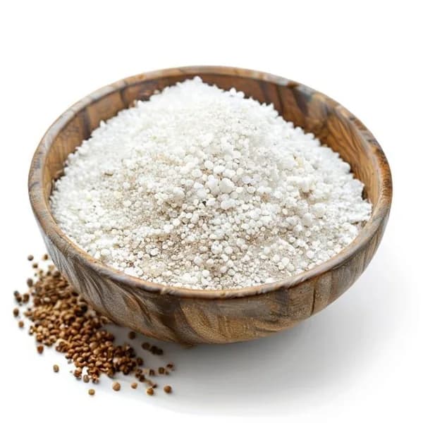 3. Ultra Realistic White Pepper Whole Form And Ground Powder Displayed Together