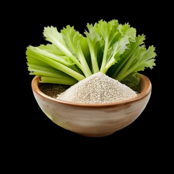 超逼真芹菜籽(整粒与粉末)- 8K高清PNG