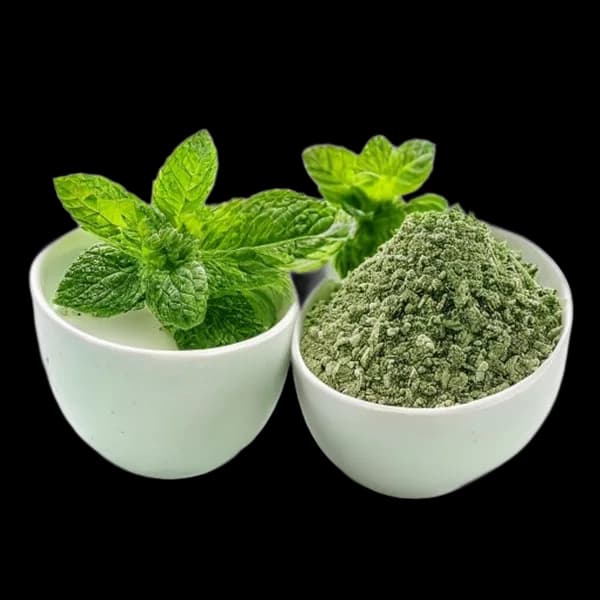 Commercial Catalog Photography Of Mint Whole And Ground Version Displayed Togeth
