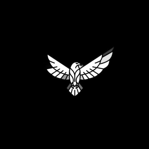 Minimalist line art eagle icon flying with wings spread
