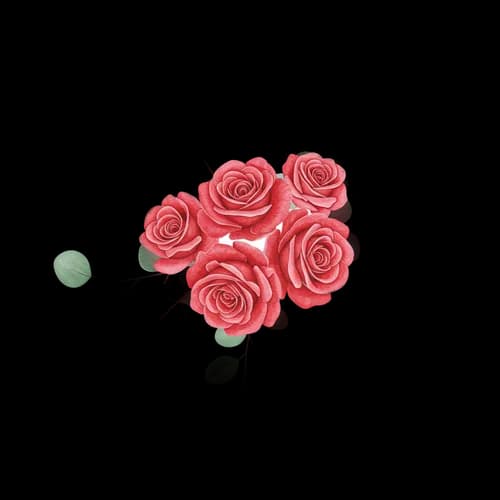 Beautiful red rose flower bouquet illustration