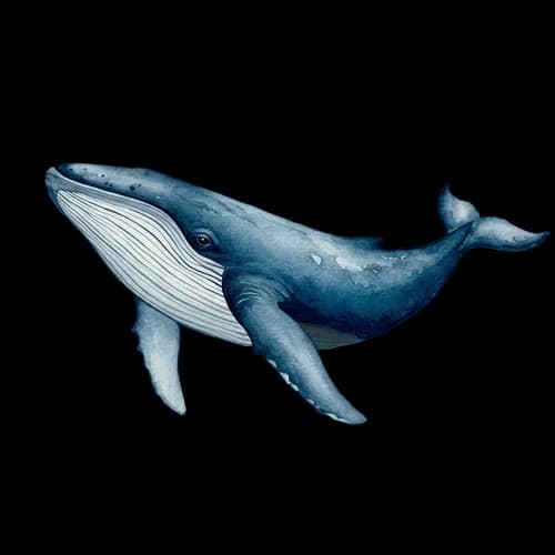 Blue whale swimming in the deep ocean JPG Image