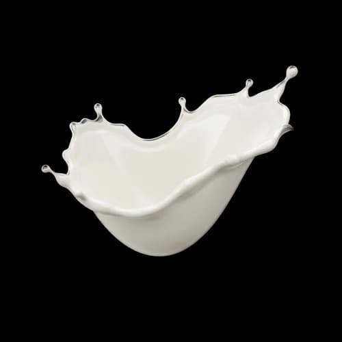 Fresh white milk splash isolated on white