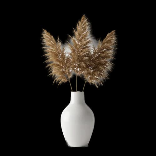 Dried pampas grass stems in a small white ceramic vase