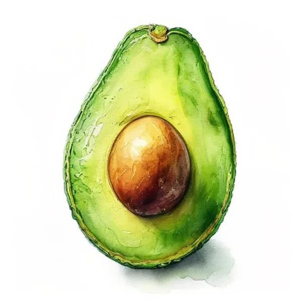 photorealistic-watercolor-painting-of-a-ripe-split-avocado-showing-rich-green-te-hd-jpg