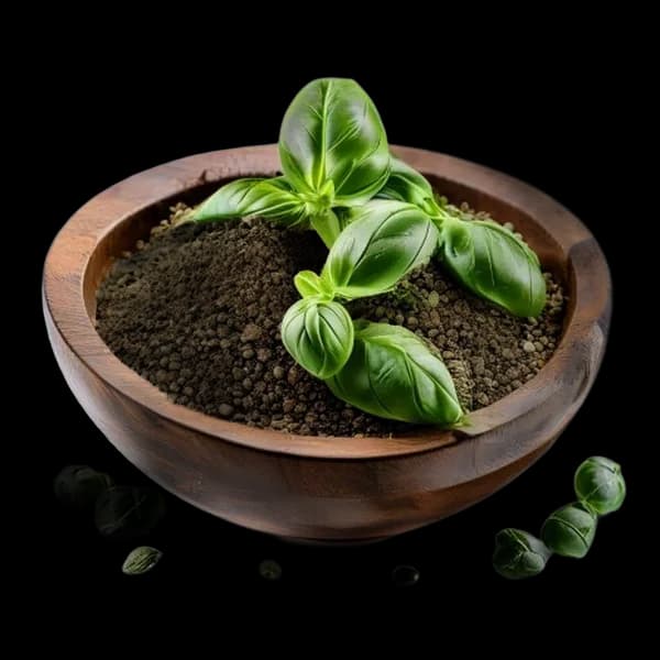 Premium Studio Shot Of Basil Whole And Powder Form In Rustic Wooden Bowl Seeds S