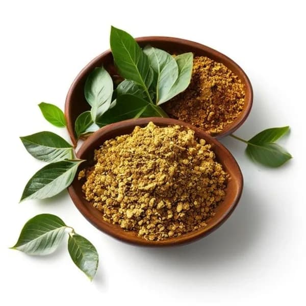 Professional Ecommerce Product Image Of Curry Leaves Whole And Powder Form In Bo