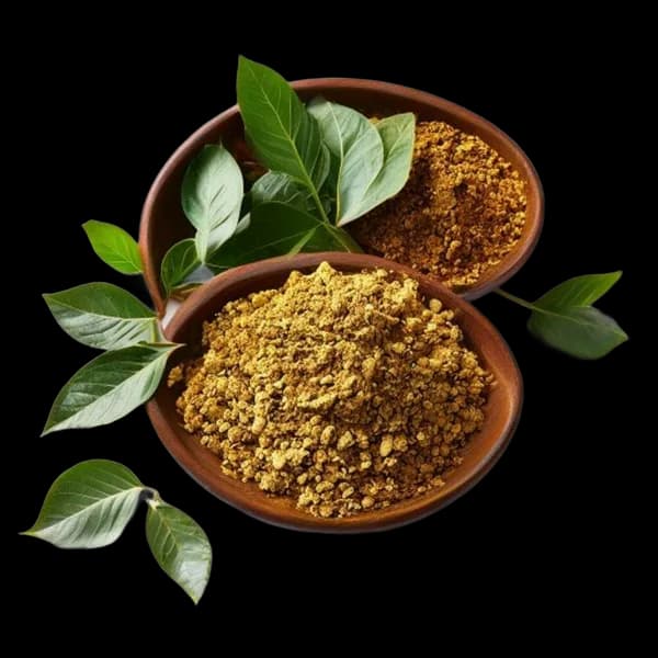 Professional Ecommerce Product Image Of Curry Leaves Whole And Powder Form In Bo