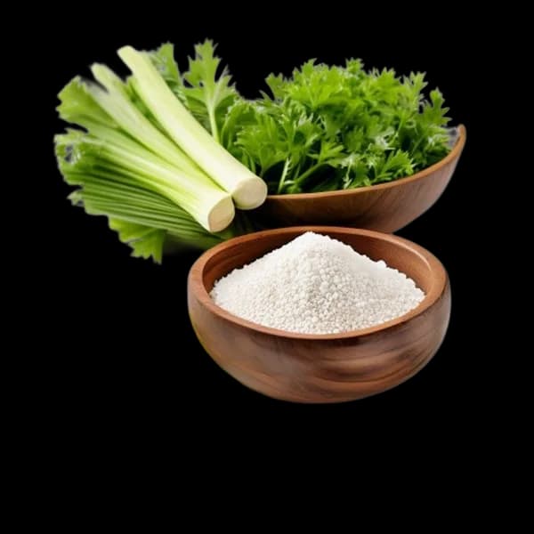 Realistic Celery Seed Ingredient Showcase Whole And Powder Together Front View S