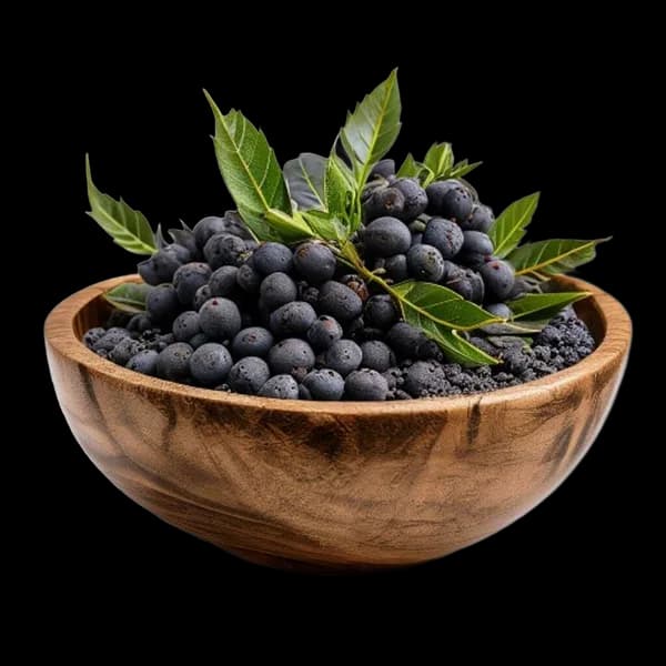 Ultra Hd Juniper Berry Whole Pieces And Ground Powder Arranged Around Wooden Bow