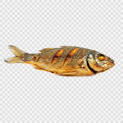 Pescado Hilsa Ilish Frito Entero, Dorado Crujiente, Transparente PNG